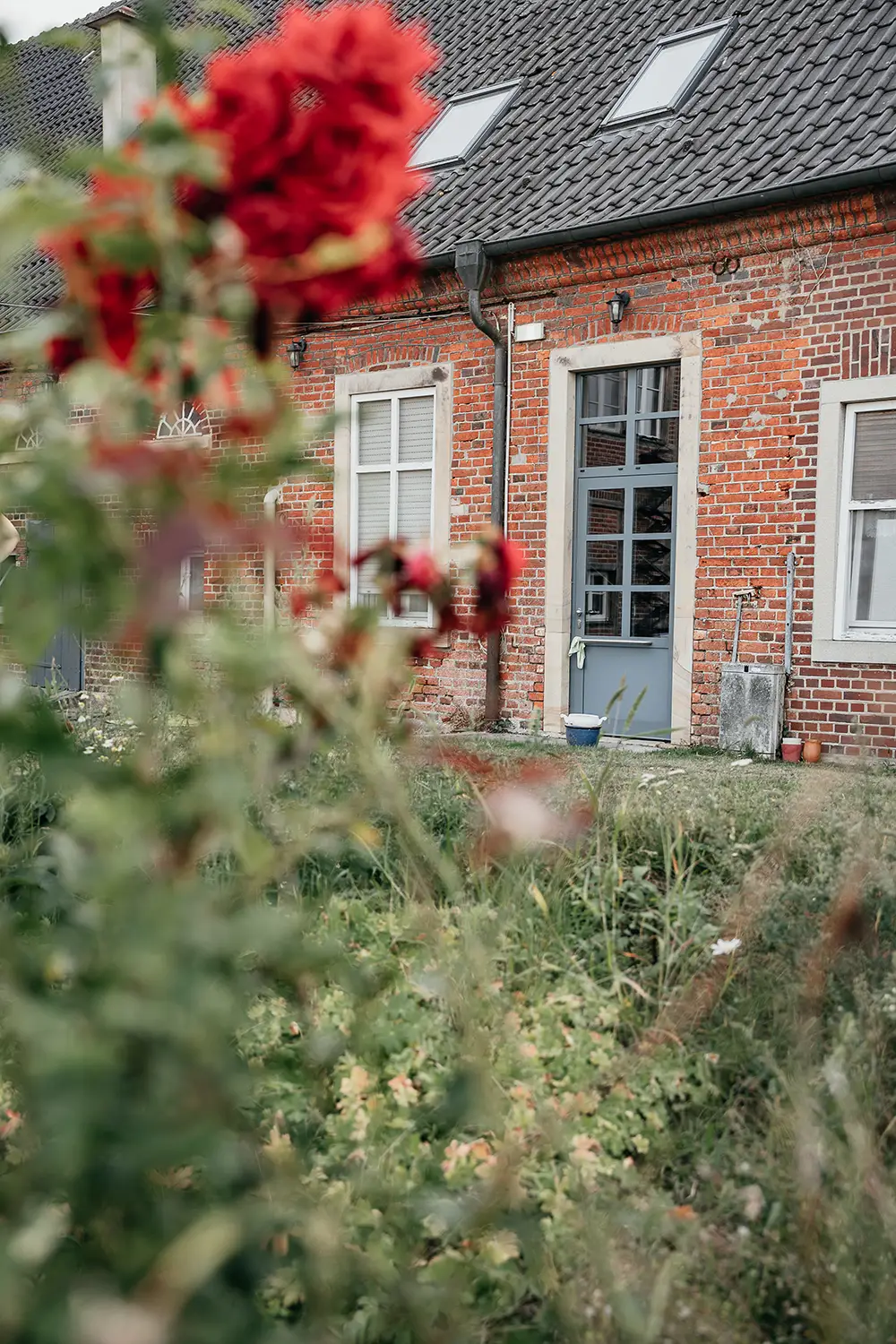 Ein Blick durch den blumigen Garten auf die blaue Hoftür von Ponyhof Mormann