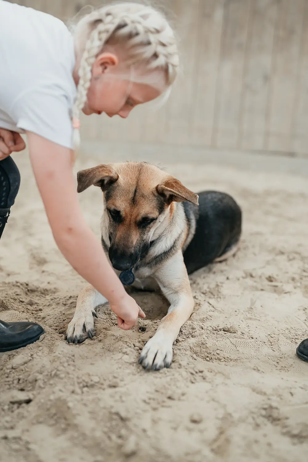 Mädchen spielt auf dem sandigen Boden in der Reithalle mit dem Hund von Hof Mormann