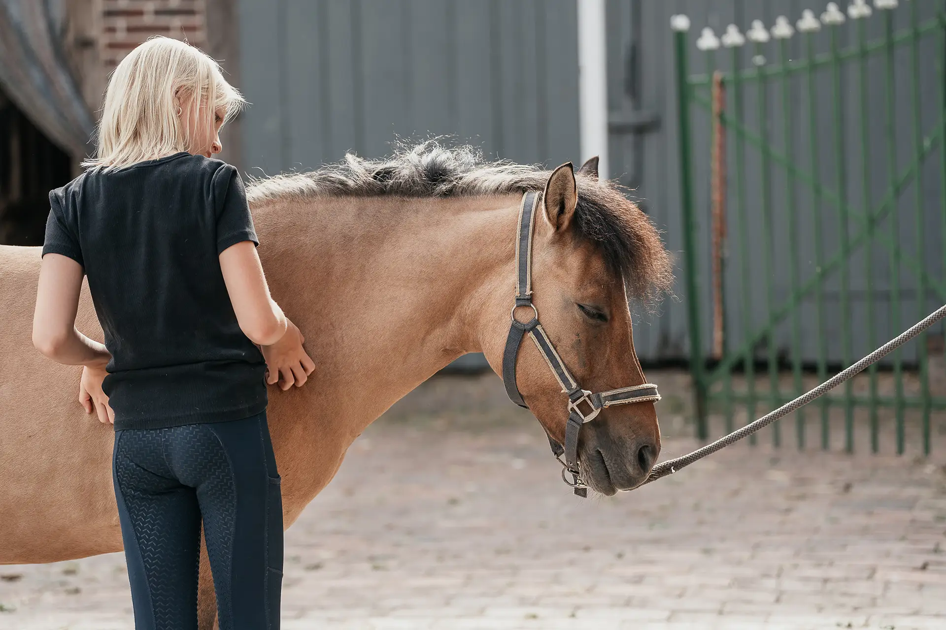 Ein Mädchen krault einem Pony das Fell auf Ponyhof Mormann in Havixbeck