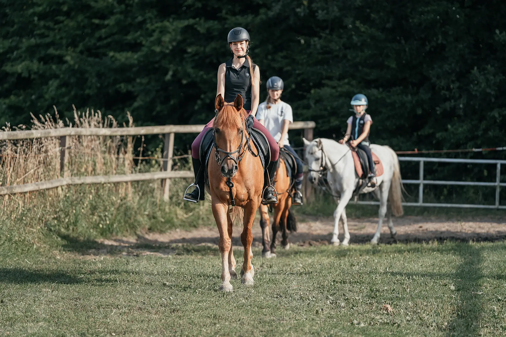 Ponys werden über den Hof Mormann geführt