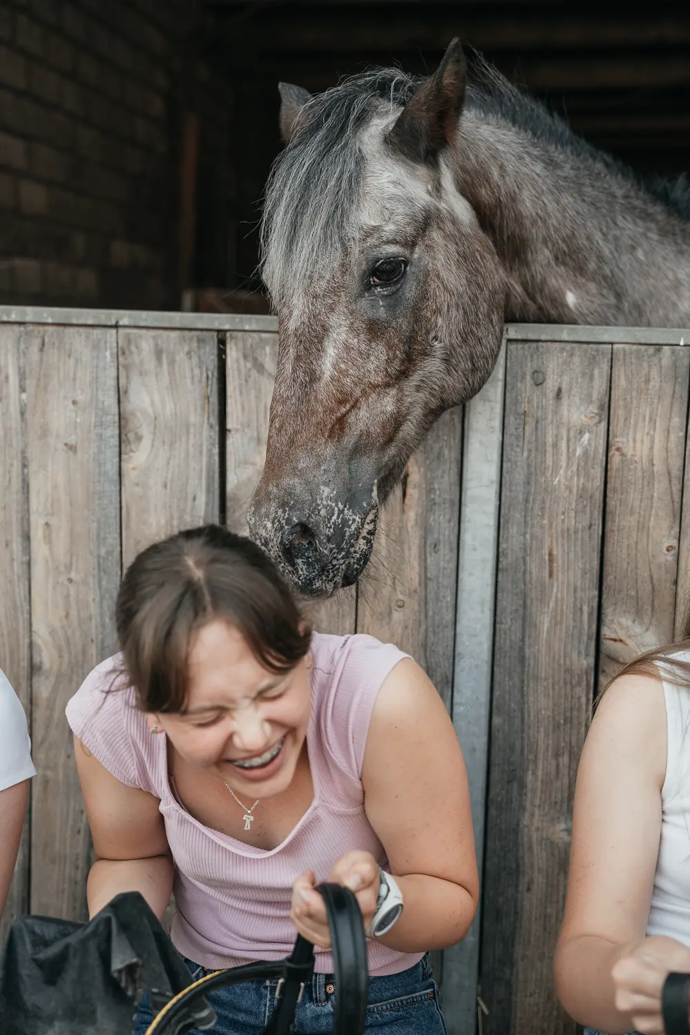 Ein Pony schnuppert aus einer Box am Kopf eines lachenden Mädchens