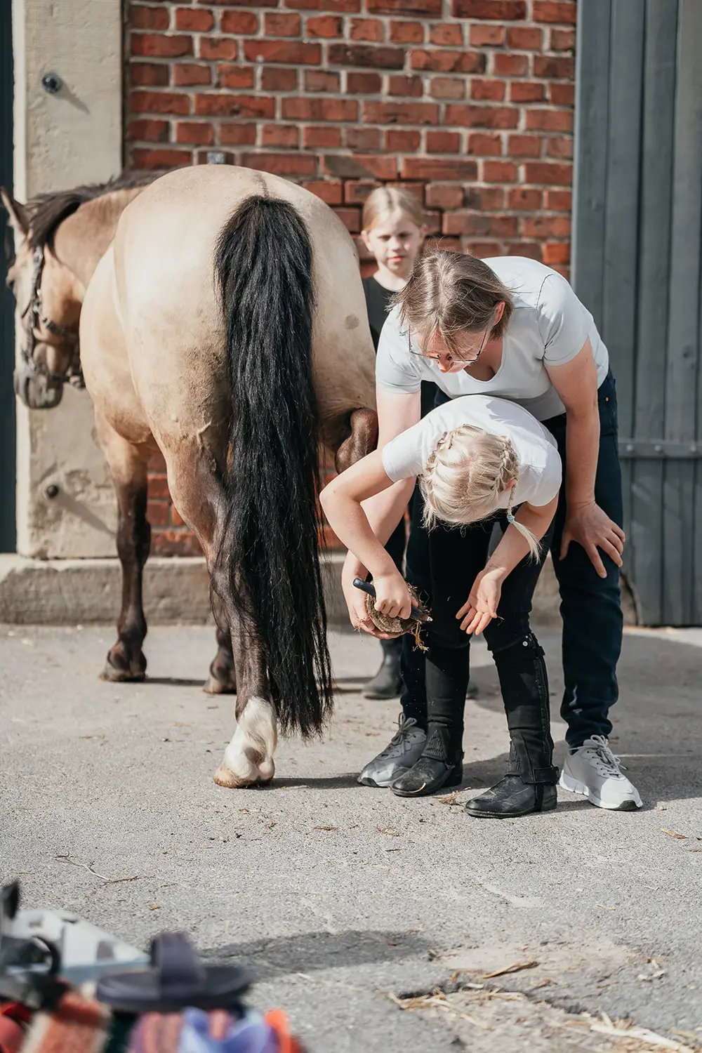 Kinder unterstützen Uta Mormann bei der Hufpflege und dem Hufe auskratzen der Ponys auf dem Hof Mormann