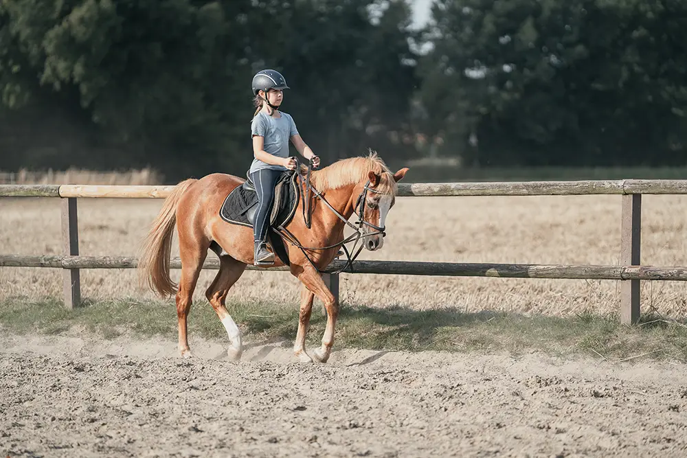 Ein Mädchen im Alter von 8 – 14 Jahren reitet auf einem Pony auf dem Reitplatz von Ponyhof Mormann in Havixbeck