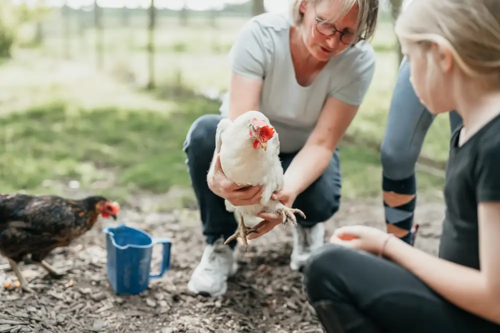 Uta Mormann zeigt den Kindern die Hühner. Sie hält ein Huhn in der Hand.